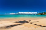 Relax under the shade of a palm tree on Napili Bay, just a quick walk or shuttle drive away
